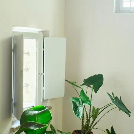 Zelda Apartment Udine
